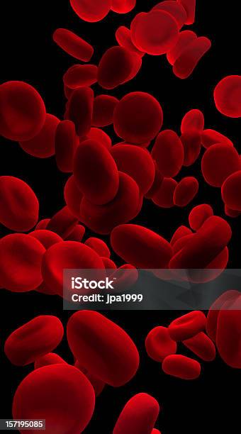 Glóbulos Vermelhos - Fotografias de stock e mais imagens de Glóbulo Vermelho - Glóbulo Vermelho, Célula, Célula sanguínea