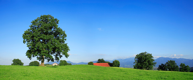 Rural landscape with barns and some mountains in the background