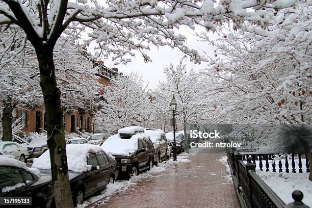 Via Nevosa Di Boston - Fotografie stock e altre immagini di Via - Via, Albero, Ambientazione esterna