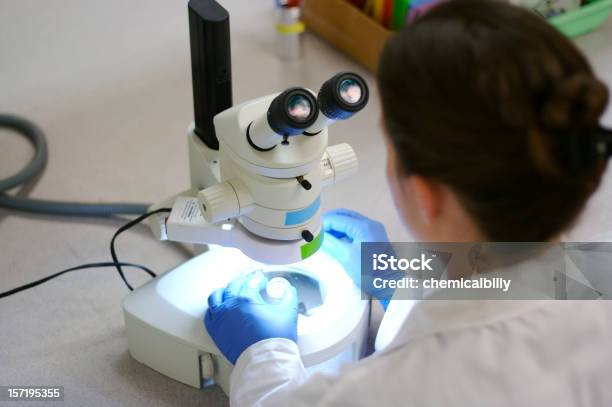 Foto de Microscópio Experiência e mais fotos de stock de Terapia genética - Terapia genética, Pesquisa, Laboratório