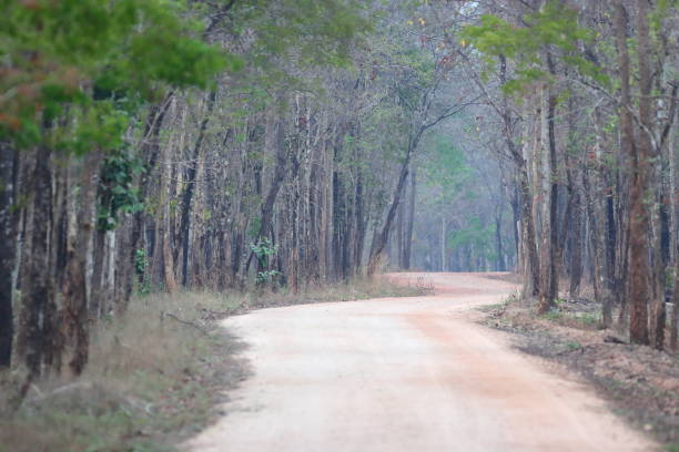 istock The red gravel road 1571953820