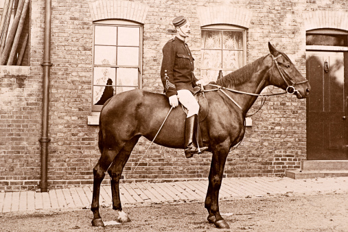 Portrait of horse with a name on a black background. The text is from her fur