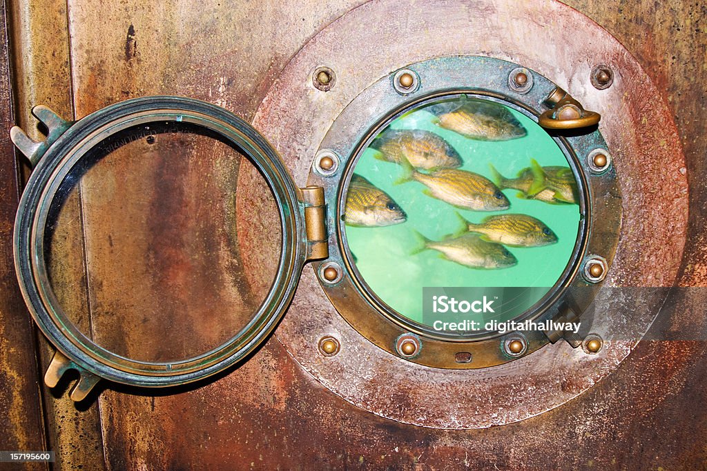 Hublot Banc de poissons - Photo de Banc de poissons libre de droits