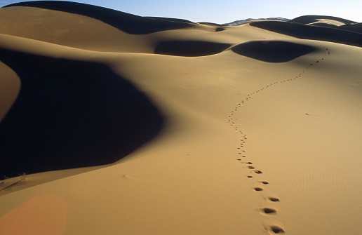 Near Siwa Oasis, Egypt, on September 25th, 2009. Egyptian Man walking over the sand dunes of the Sahara leaving his footsteps in the sand. Seen on a 10 hours trip into the desert from Siwa Oasis towards the Libyan border.