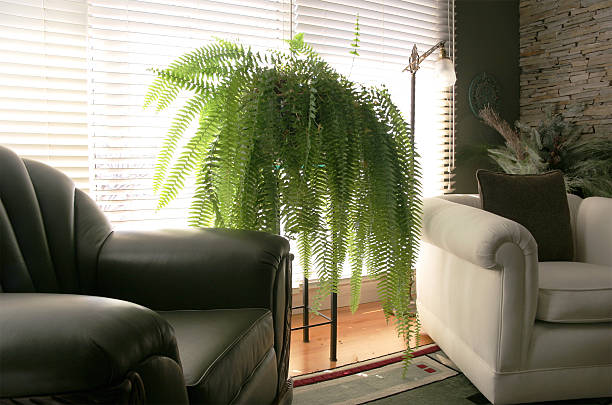 Contemporary Living Room with Handwoven Carpet and vintage leather chair.
