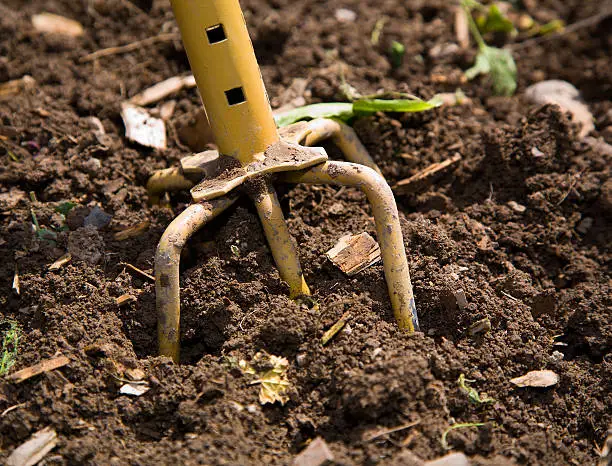 A close-up of a garden "claw" tool digging in freshly worked soil.  Narrow depth of field.