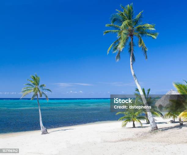 Palmeras Y Sombrilla En La Playa Foto de stock y más banco de imágenes de Roatán - Roatán, Agua, Aire libre