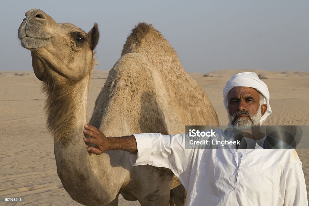 Arab man z wielbłąda - Zbiór zdjęć royalty-free (Al-Ajn)
