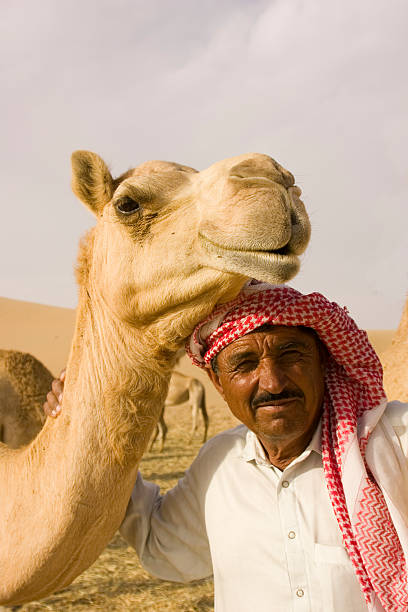 arab man 保持、キャメル(uae - united arab emirates middle eastern ethnicity men camel ストックフォトと画像