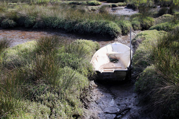 cais da ribeira de esgueira, holzstege, brackwasser , boot auf grund, schlamm, alt, bemoost nähe aveiro
