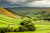 Green fields at Swaledale, Yorkshire