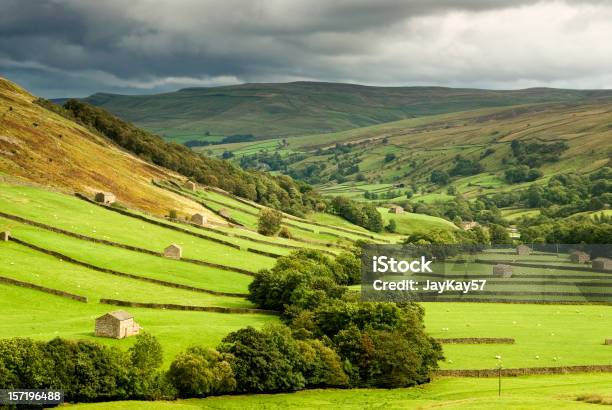 Swaledale Йоркшир — стоковые фотографии и другие картинки Йоркшир - Йоркшир, Сельский пейзаж, Поле