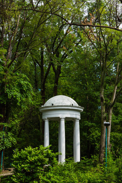istock The Sea Garden in Varna, Bulgaria 1571966143