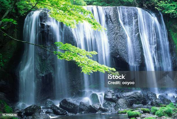 Photo libre de droit de Cascade Au Japon banque d'images et plus d'images libres de droit de Eau - Eau, Japon, Zen