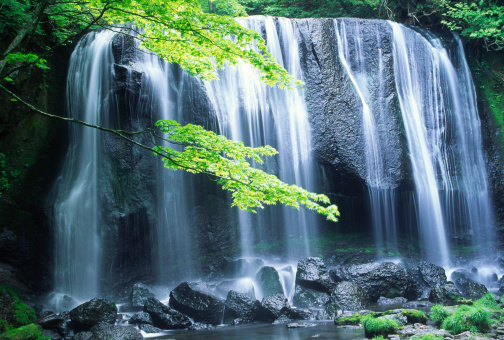 Japanese waterfall(fudotaki)