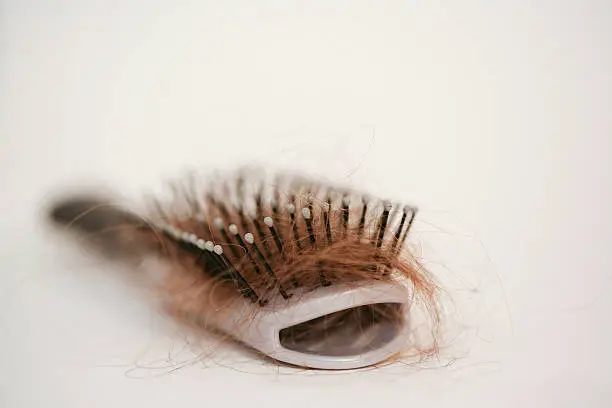 Photo of Hairbrush with strands of auburn hair stuck in it