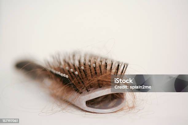 Hairy Szczotka - zdjęcia stockowe i więcej obrazów Utrata włosów - Utrata włosów, Szczotka do włosów, Odnawiać