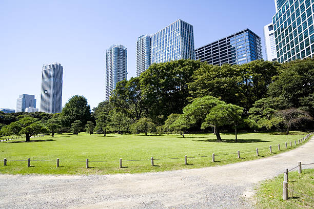 city square road in Tokyo