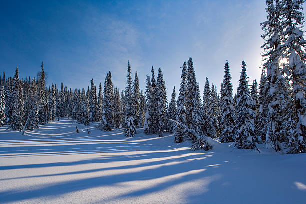 冬の動機 12 - extreme terrain powder snow winter snow ストックフォトと画像