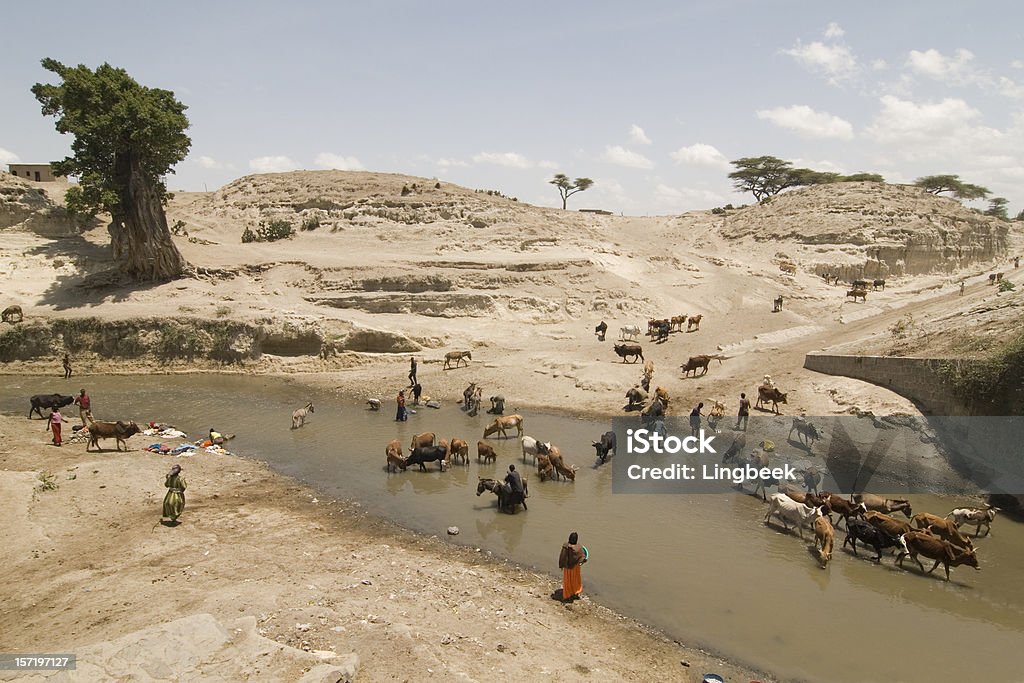 African vita sul fiume - Foto stock royalty-free di Siccità
