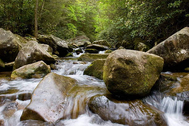 floresta stream - blue ridge mountains stream forest waterfall - fotografias e filmes do acervo