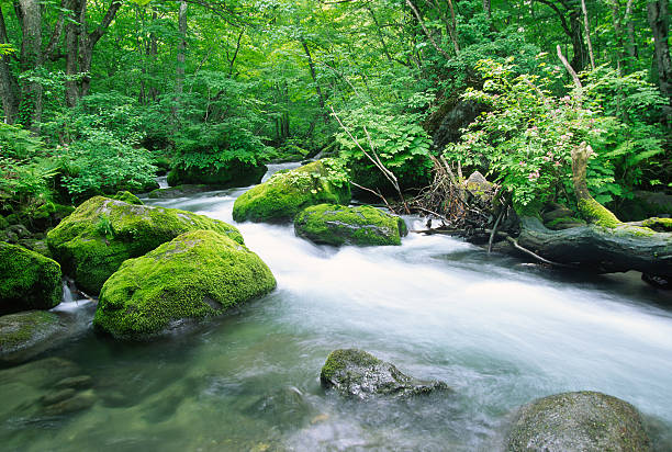 japanische mountain stream - spring waterfall japan landscape stock-fotos und bilder