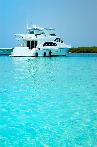 istock Luxury Yachts anchored in a tropical exotic island beach 157197301