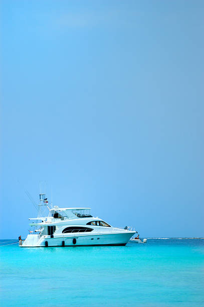 istock Luxury Yachts anchored in a tropical exotic island beach 157197303