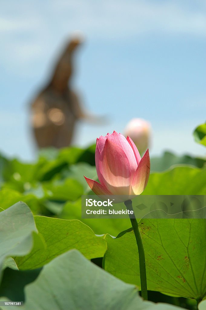 Lotus & Guanyin-Statue - Lizenzfrei Bewegungsunschärfe Stock-Foto