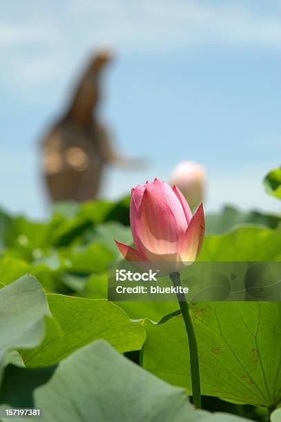 Lotus Guanyinstatue Stockfoto und mehr Bilder von Bewegungsunschärfe - Bewegungsunschärfe, Bildhintergrund, Blatt - Pflanzenbestandteile