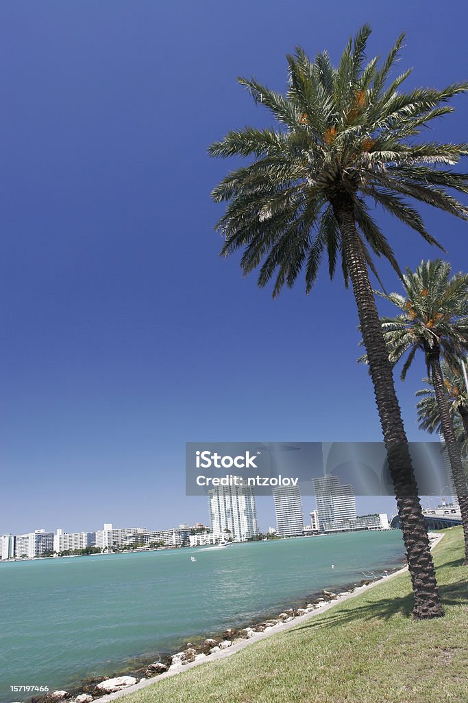 Horizonte de Miami Beach - Foto de stock de Canal - Corriente de agua libre de derechos