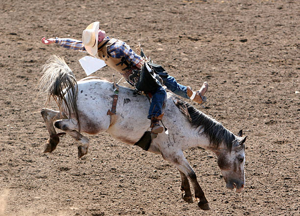 istock Bucking Bronco at the rodeo in neutral colors 157197493