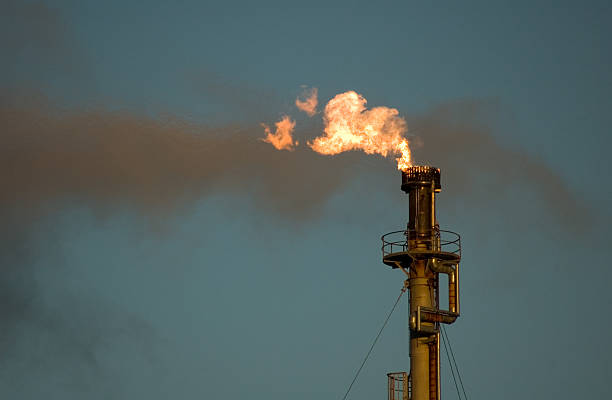 очистительный завод flare - stack rock стоковые фото и изображения