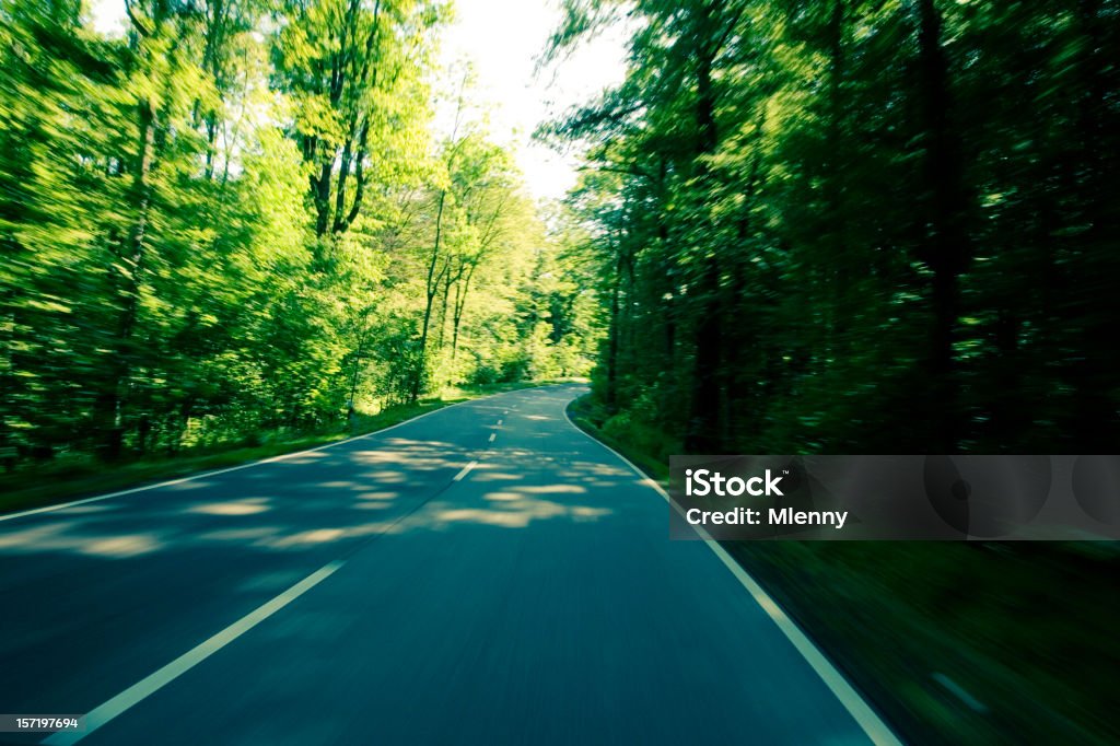 Forest Road - Lizenzfrei Fahren Stock-Foto