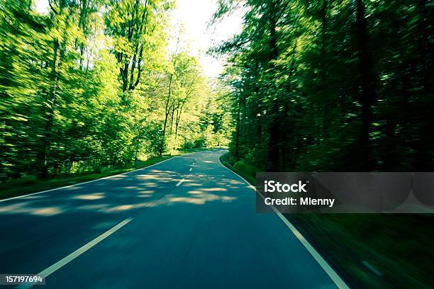 Forest Road Stockfoto und mehr Bilder von Fahren - Fahren, Grün, Horizont