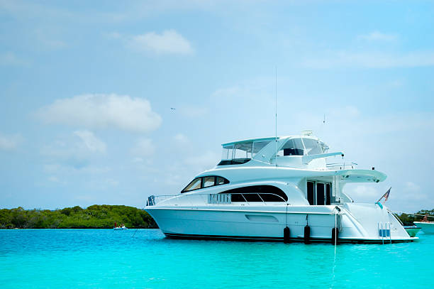 istock Luxury Yachts anchored in a tropical exotic island beach 157197696