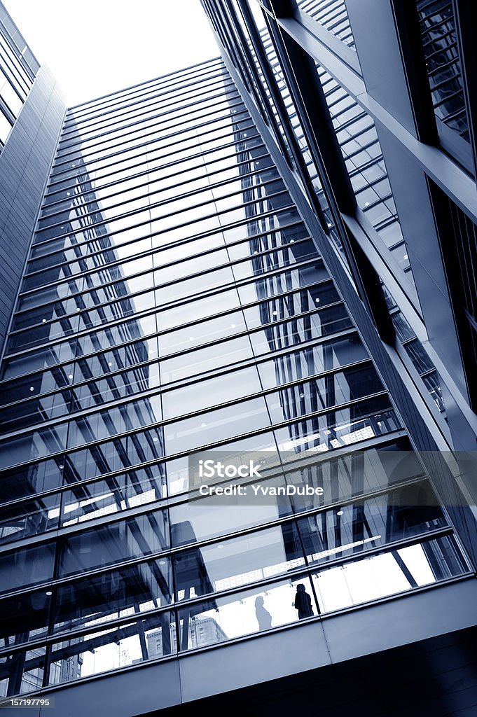 silhouette di donna d'affari in un grattacielo - Foto stock royalty-free di Acciaio
