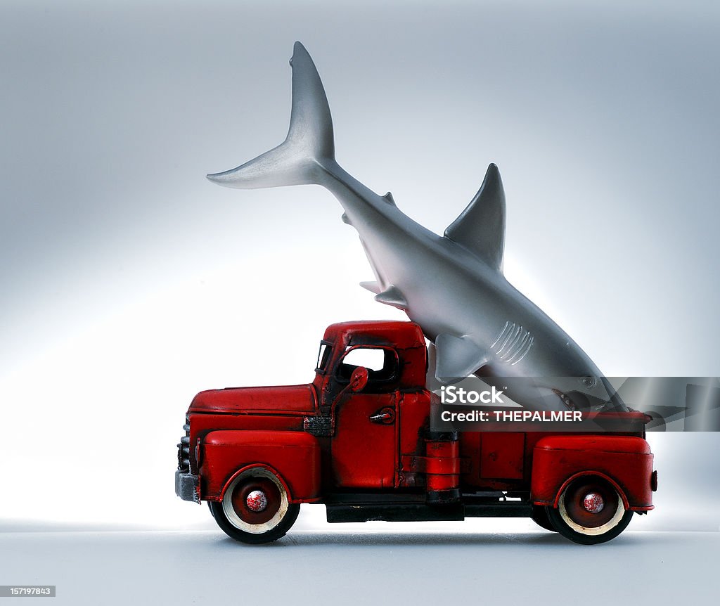 catch of the year toy pickup truck carriying the white shark, some people are just lucky! Car Stock Photo