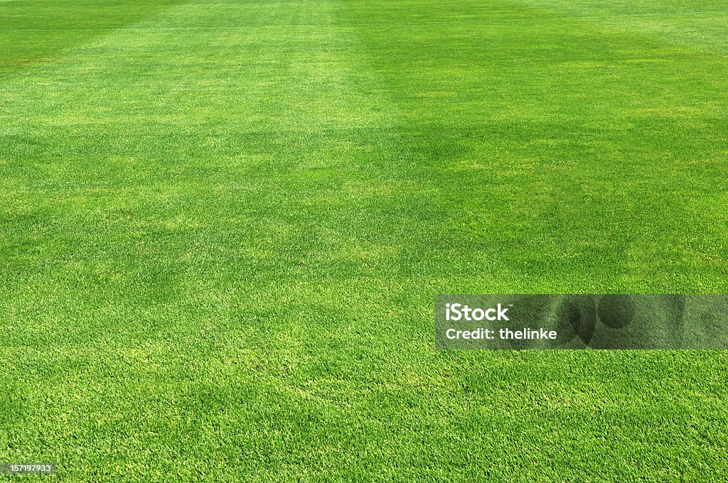 Erba verde campo - Foto stock royalty-free di Campo da baseball