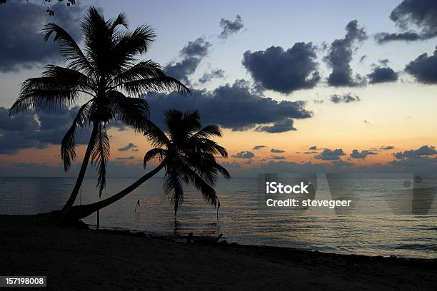 Caribbean Palm Trees Stock Photo - Download Image Now - Beach, Belize, Caribbean
