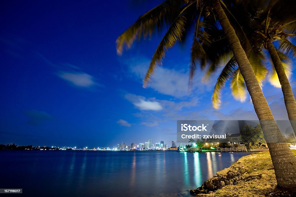Star Island Miami Beach - Foto de stock de Noite royalty-free