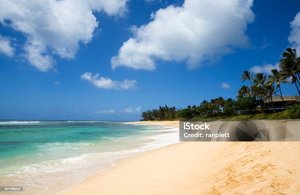 Isolated Tropical Beach http://i152.photobucket.com/albums/s173/ranplett/tropical_banner.jpg Beach Stock Photo