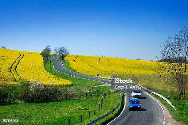 Foto de Biodiesel e mais fotos de stock de Agricultura - Agricultura, Ajardinado, Azul
