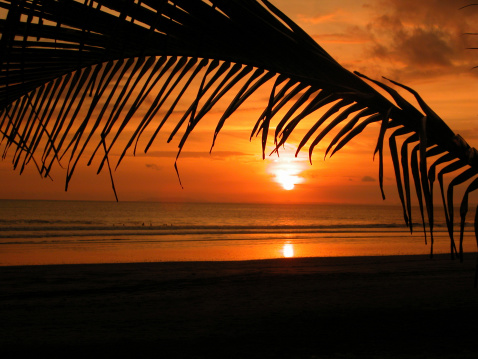 Picture of Jaco Beach at sunset in Costa Rica. The sky and the sun are orange and are reflecting on the beach sand. There is a palm tree leaf in the foreground of the image. It is a beautiful paradisiac beach at sunset.