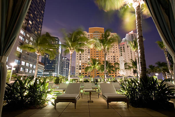 View of the palm trees and city in downtown Miami, from a rooftop poolside cabana. 