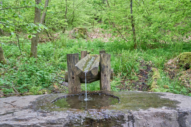 istock Siegquelle, the source of river Sieg in the Rothaargebierge. 1571981401