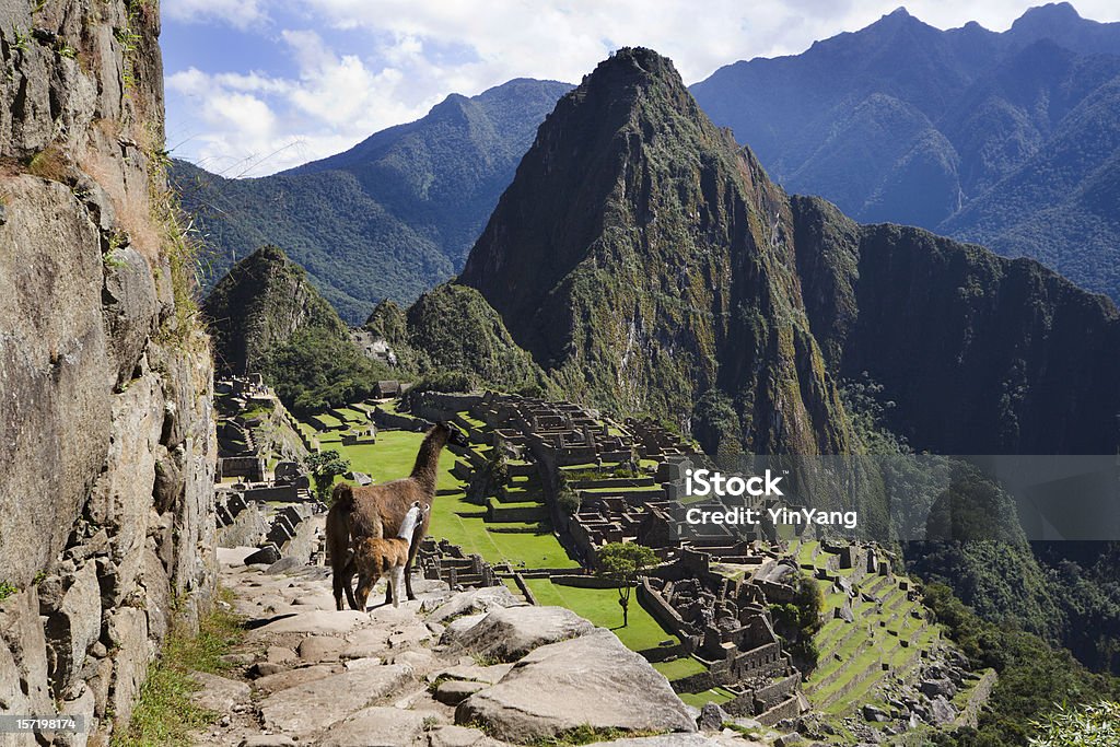 Machu Picchu Krajobraz z Inca Holują w Peru, Ameryka Południowa - Zbiór zdjęć royalty-free (Szlak Inków)