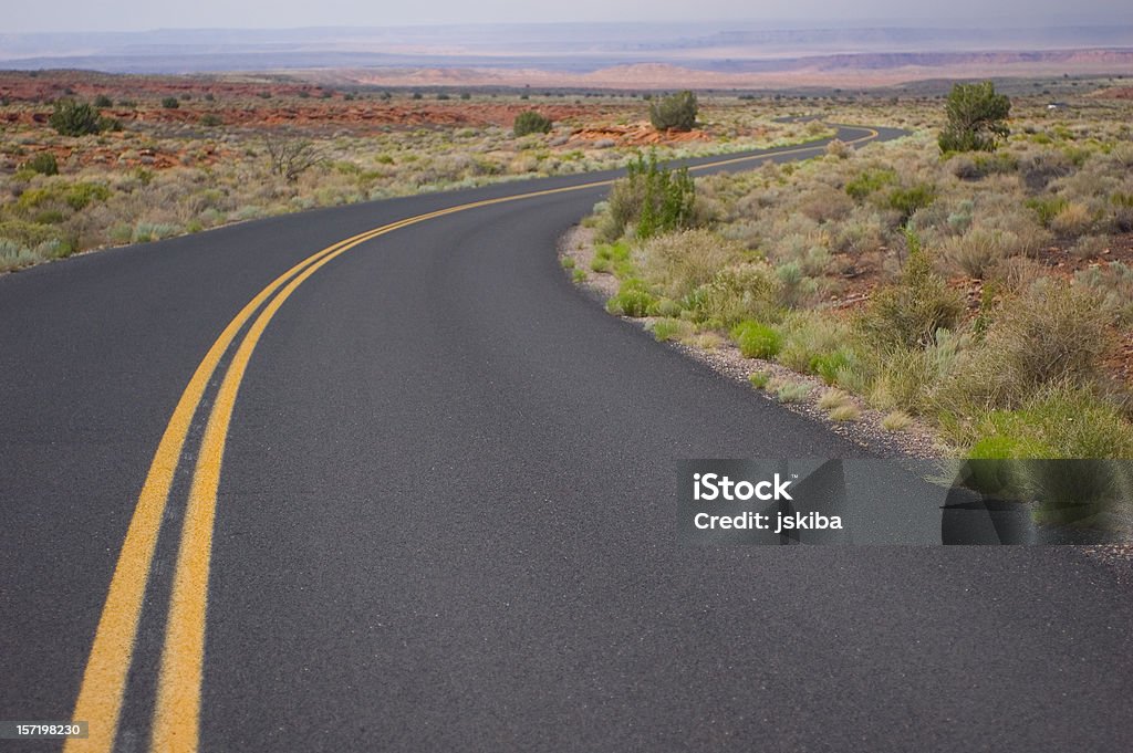 砂漠の曲がりくねった道路のカーブ - S字形のロイヤリティフリーストックフォト
