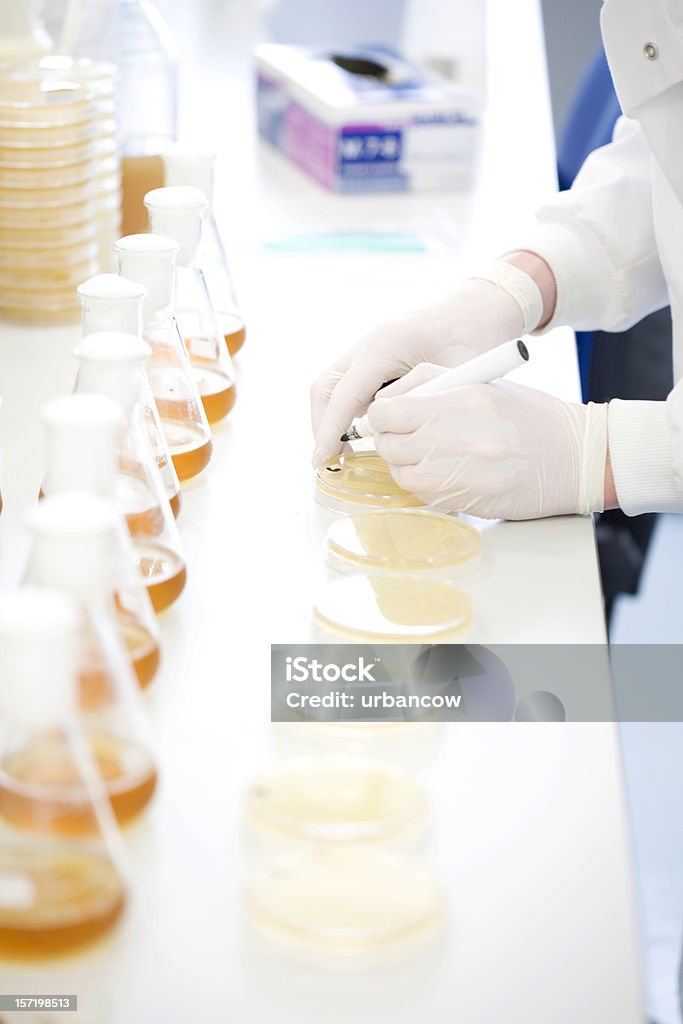 Science laboratorio - Foto de stock de ADN libre de derechos