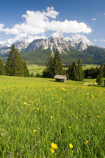 lermoos - mountain zugspitze mountain mountain peak scenics - fotografias e filmes do acervo